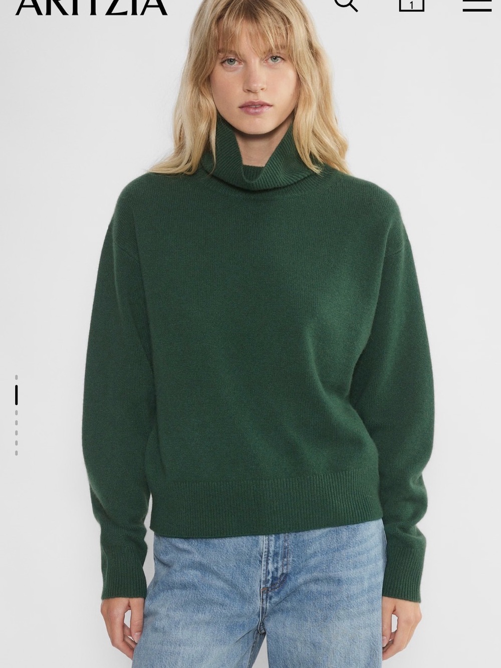 Aritzia Dark Green Turtleneck Sweater
